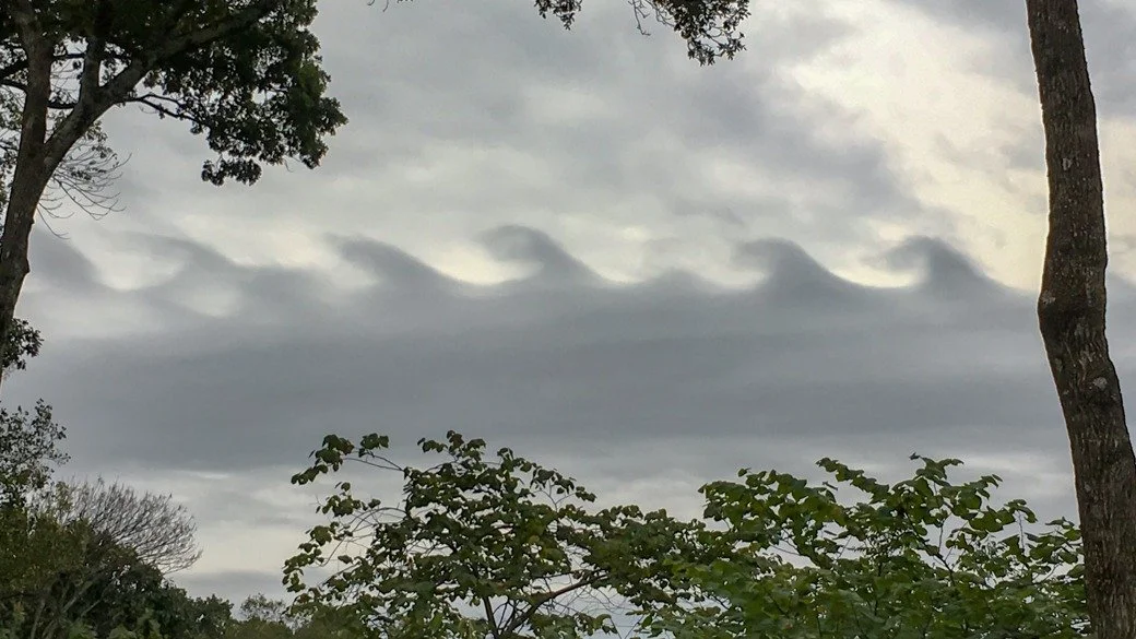 Stratus fluctus (St flu)