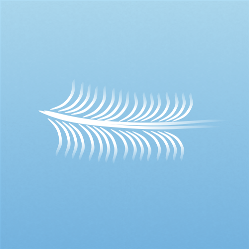 Illustration of cirrus vertebratus clouds