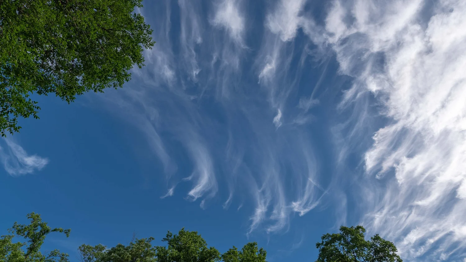 Cirrus uncinus (Ci unc), Cirrus floccus (Ci flo)